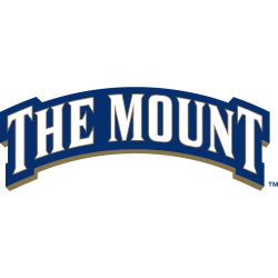 Mount St. Mary's Mountaineers Wordmark Logo 2006 - 2016