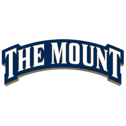 Mount St. Mary's Mountaineers Wordmark Logo 2016 - Present