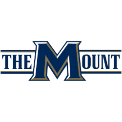 Mount St. Mary's Mountaineers Wordmark Logo 2016 - Present