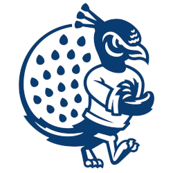 Saint Peter's Peacocks Alternate Logo 2020 - Present