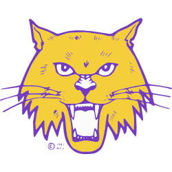 Western Carolina Catamounts Alternate Logo 1981 - 1996