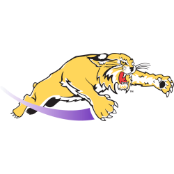 Western Carolina Catamounts Alternate Logo 1996 - 2003