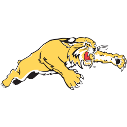 Western Carolina Catamounts Alternate Logo 2003 - 2008