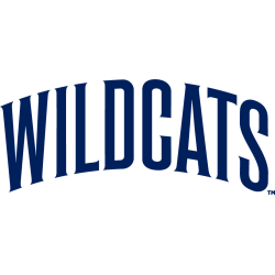 Villanova Wildcats Wordmark Logo 2024 - Present