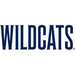 Villanova Wildcats Wordmark Logo 2024 - Present