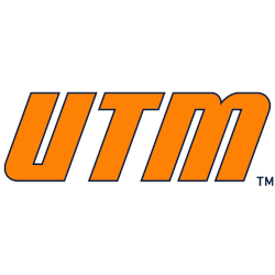 Tennessee-Martin Skyhawks Wordmark Logo 2020 - Present