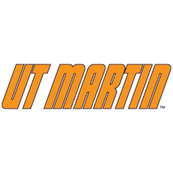 Tennessee-Martin Skyhawks Wordmark Logo 2020 - Present